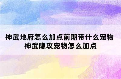 神武地府怎么加点前期带什么宠物 神武隐攻宠物怎么加点